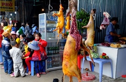 Ngang nhiên kinh doanh động vật hoang dã tại chùa Hương 